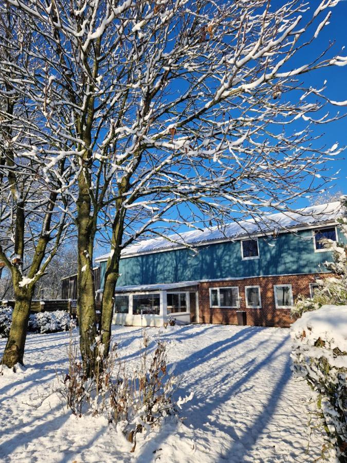 Ferienwohnung Sort Sol Grellsbuelldeich 7 Aventoft Екстериор снимка
