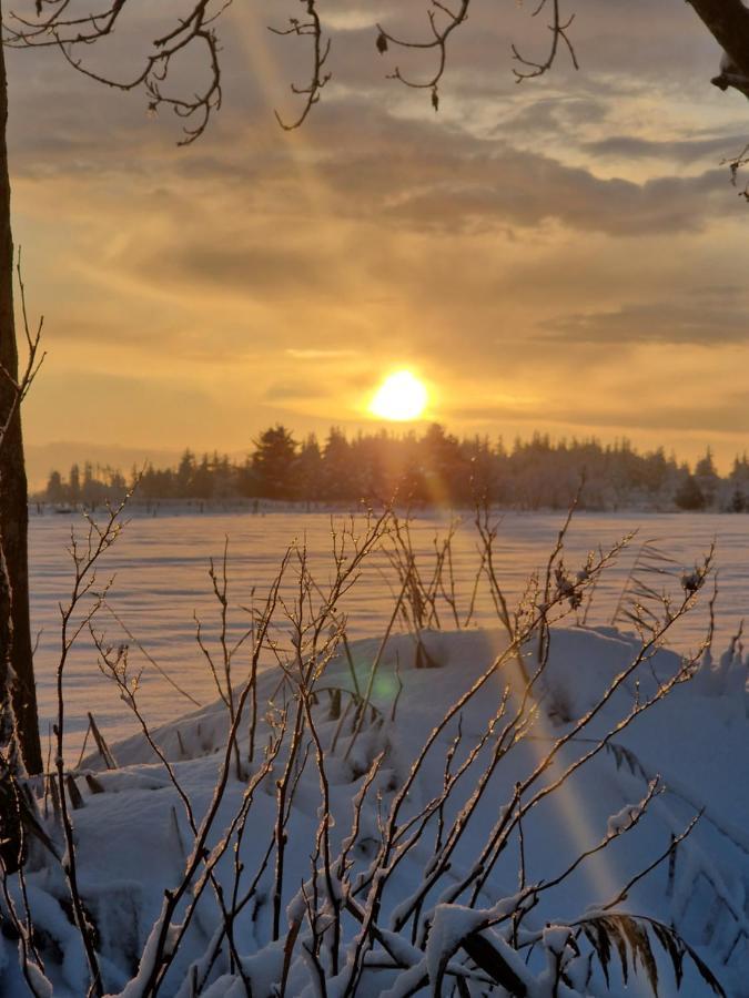 Ferienwohnung Sort Sol Grellsbuelldeich 7 Aventoft Екстериор снимка