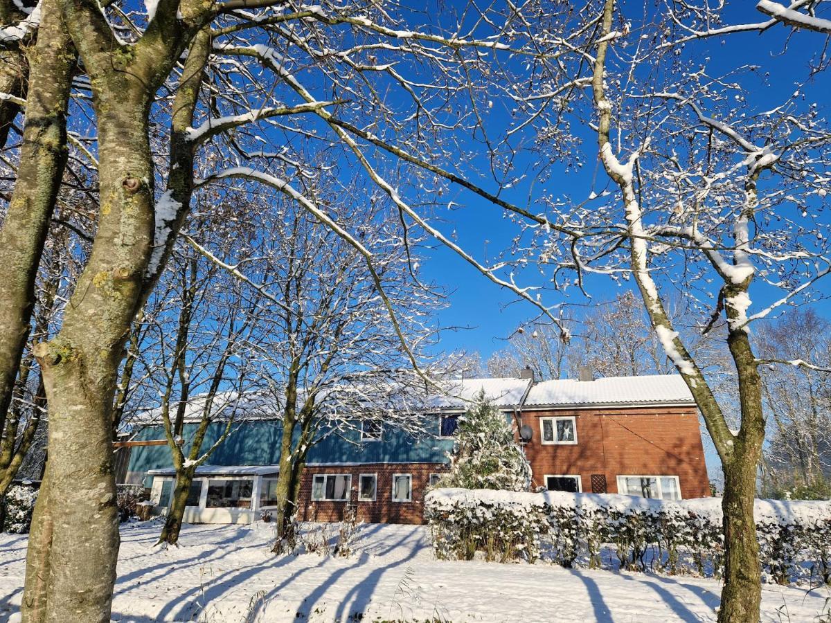 Ferienwohnung Sort Sol Grellsbuelldeich 7 Aventoft Екстериор снимка