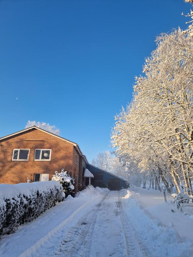 Ferienwohnung Sort Sol Grellsbuelldeich 7 Aventoft Екстериор снимка