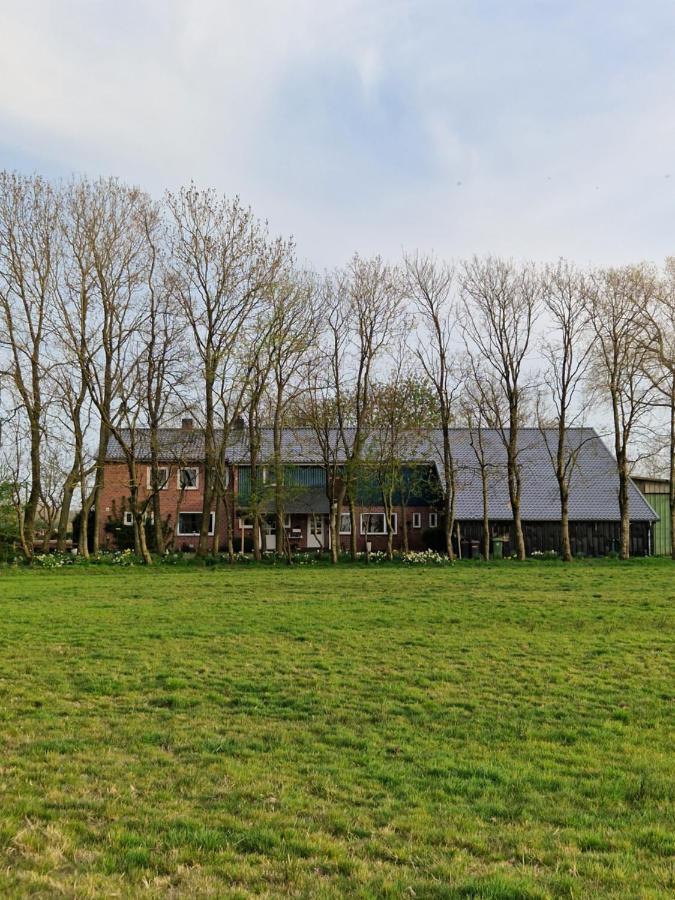 Ferienwohnung Sort Sol Grellsbuelldeich 7 Aventoft Екстериор снимка